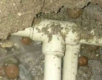 灵台测漏水多少钱