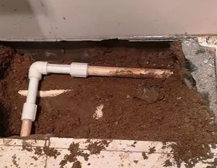 灵台测漏水哪家好