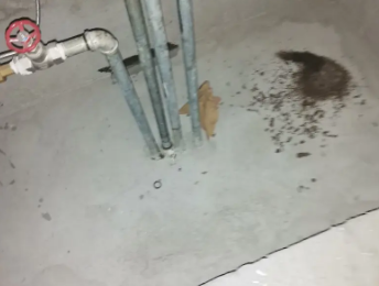 灵台卫生间测漏水价格明细