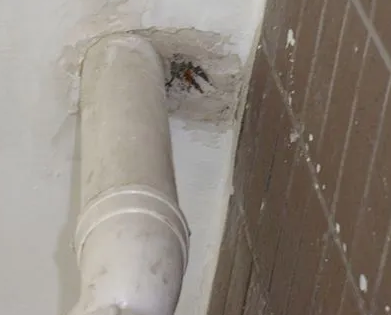 灵台漏水检测哪家好